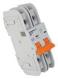 Interruptor Automático MCB 489, 2P, Curva D, 20 A, AC/DC