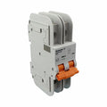 Interruptor Automático MCB 489, 2P, Curva D, 25 A, AC/DC