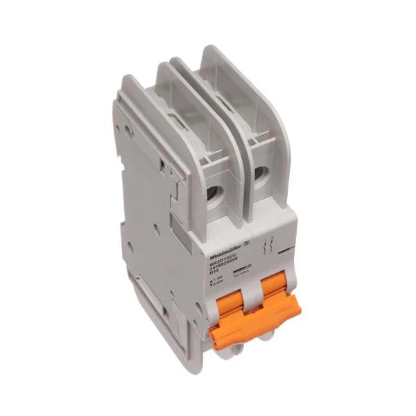 Interruptor Automático 2 Polos, 4 A, Montaje Riel DIN