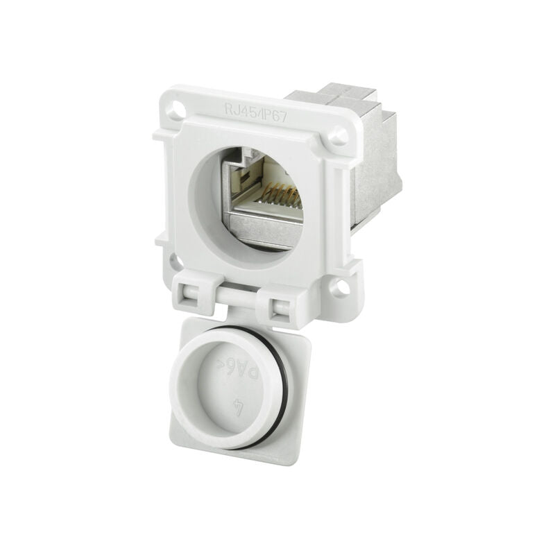 Conector de Conexión RJ45, Montaje en Pared, IP67