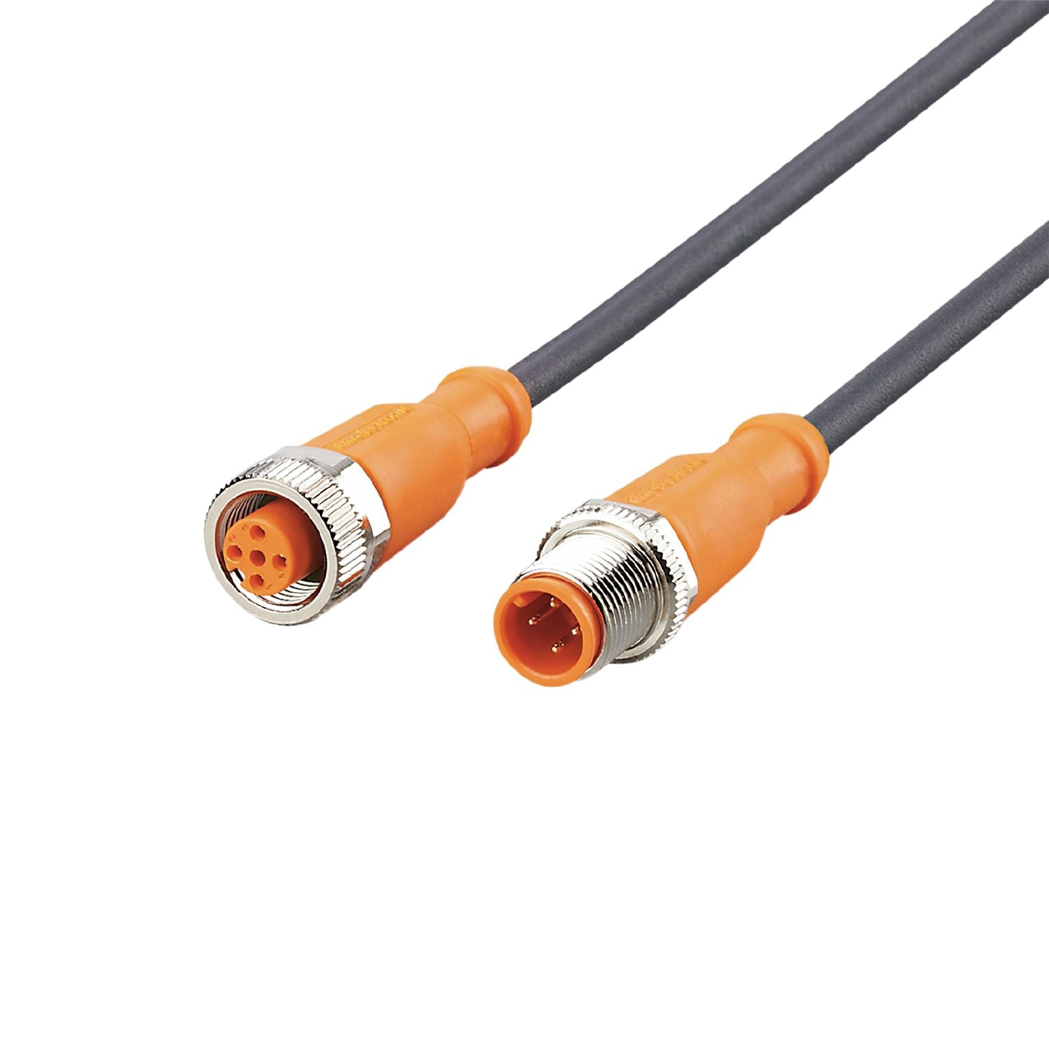 Prolongador industrial M12 2 m EVC013