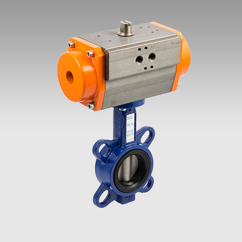 Valvula De Mariposa 2 1/2" (DN65) C/Actuador APO63 Doble Efecto